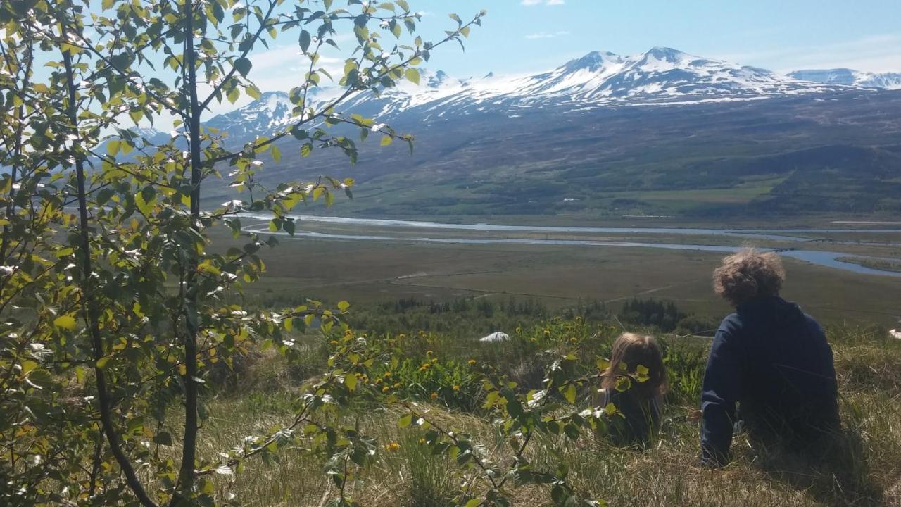 Iceland Yurt Akureyri Exterior photo