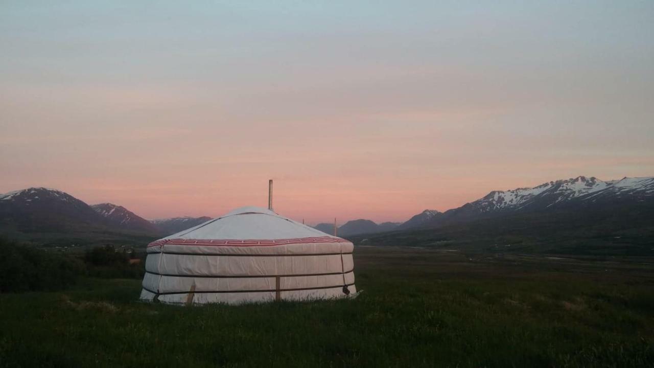 Iceland Yurt Akureyri Exterior photo